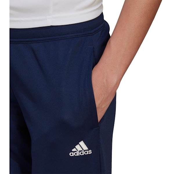 Adidas Entrada 22 Training Byxor Blå L / Regular Kvinna