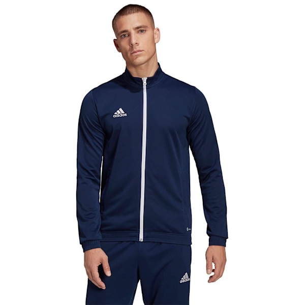 Adidas Entrada 22 Træningsjakke Blå L / Regular Mand