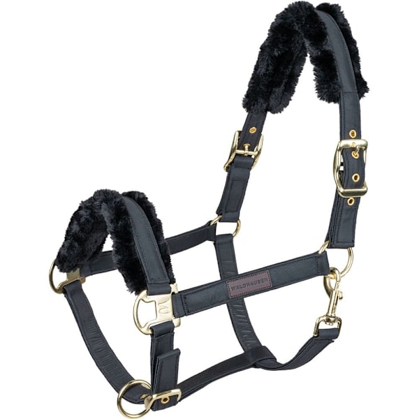 Waldhausen Riimu Exclusive  Cob