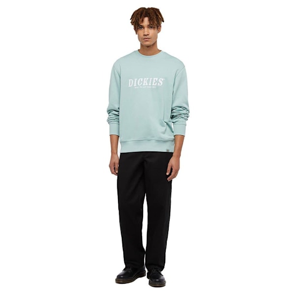 Dickies Script Sweatshirt Blå L Mand
