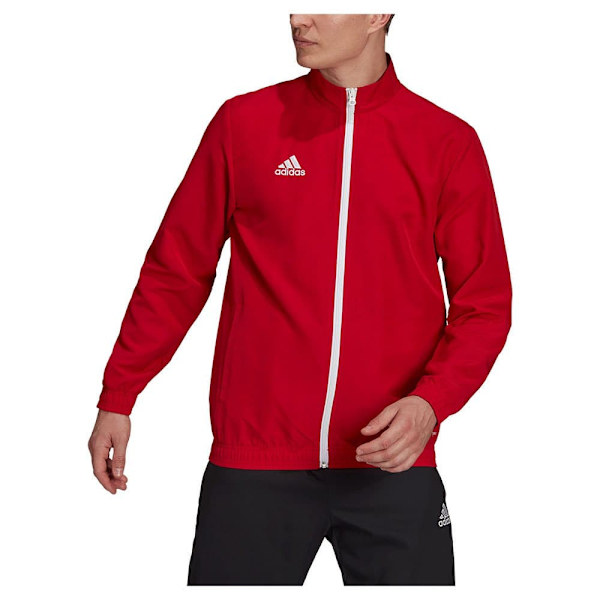 Adidas Jacka Entrada 22 Röd S / Regular Man