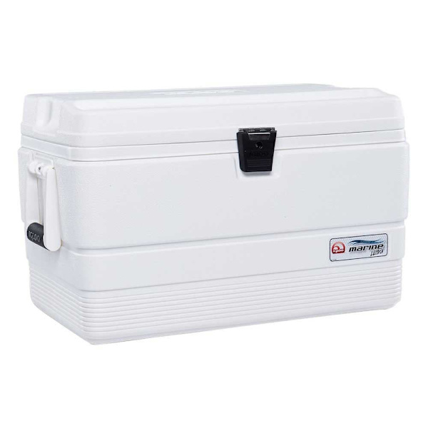 Igloo Coolers Styv Bärbar Kylare Marine 51l Durchsichtig Vit