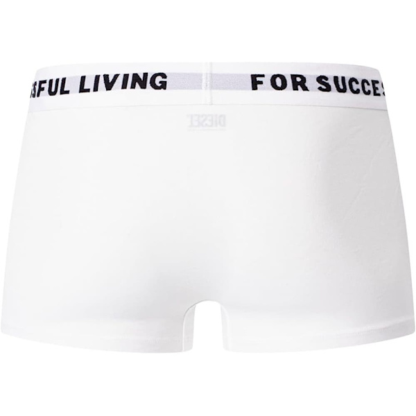 Diesel Damien Boxers 3 Enheter Flerfärgad S Man