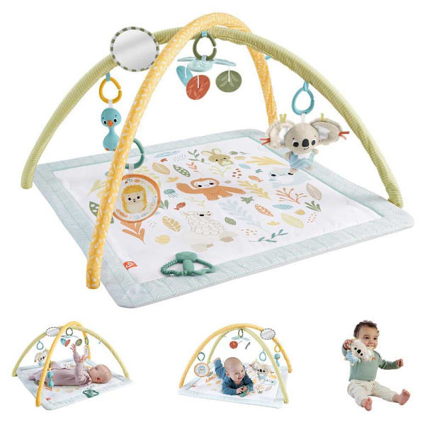 Fisher Price Dyr Gym Sensimals