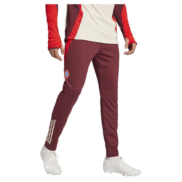 Adidas Fc Bayern Munich 24/25 Träningsbyxor  L