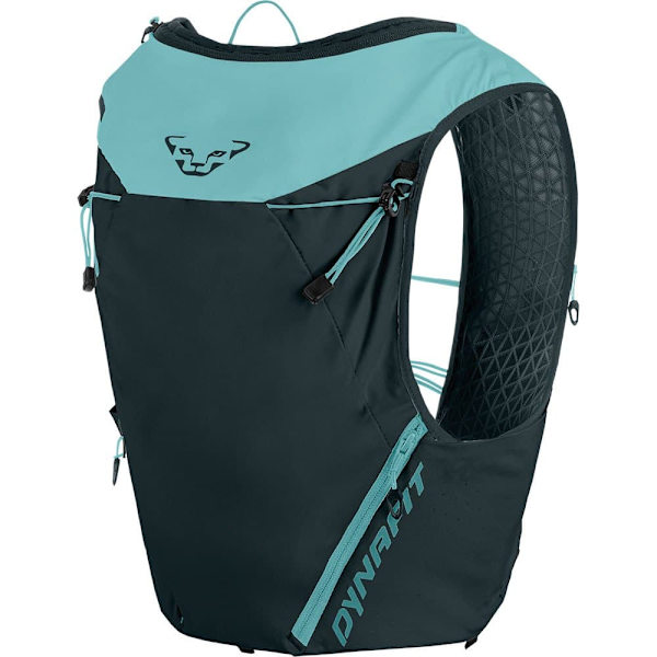 Dynafit Hydration Pack Alpine 15l Grönt XL