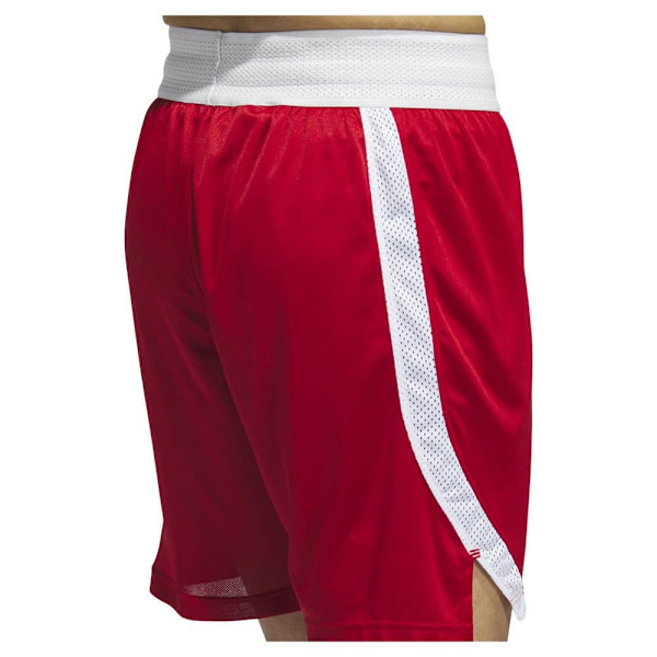 Adidas Shortsit Paris 23/24 Icon Squad Punainen M / Regular Mies