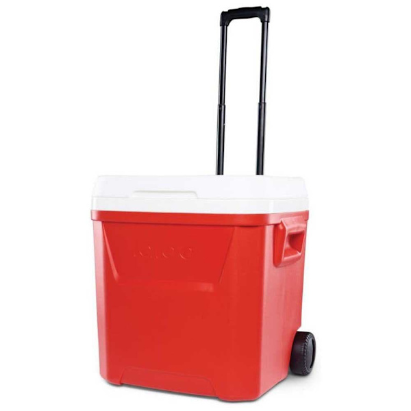 Igloo Coolers Styv Bärbar Kylare Med Hjul Laguna 57l Durchsichtig 50 x 40 x 51 cm