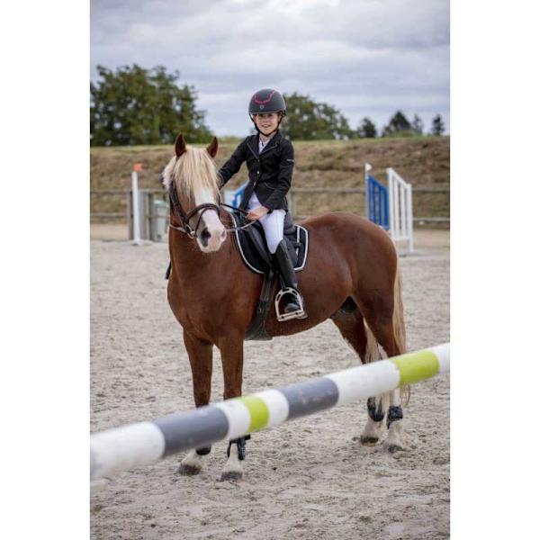 Equitheme Jacka Classic Softshell Svart 50