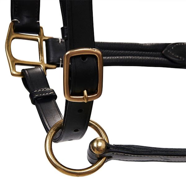 Equestro Grimma Superior Leather  Pony