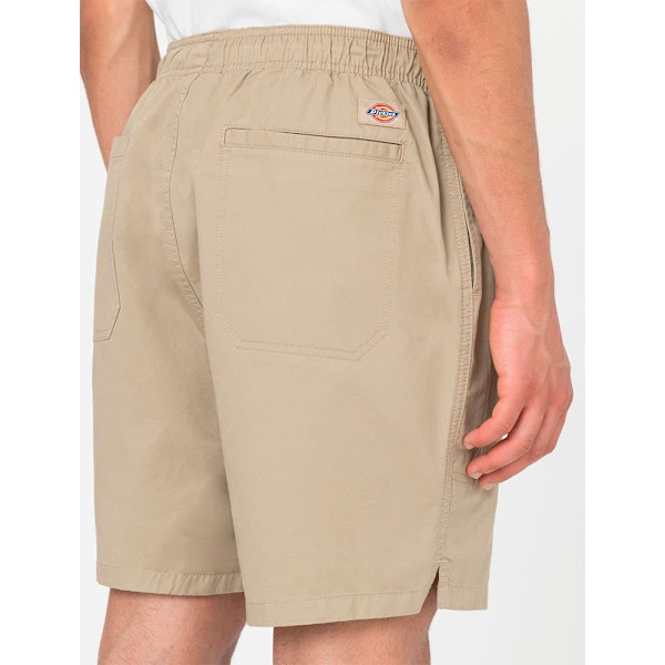 Dickies Shorts Pelican Rapids Beige XS Man