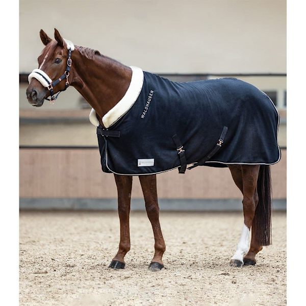 Waldhausen Äänestysmäärä Matto Modern Rosé Ruskea 145 cm