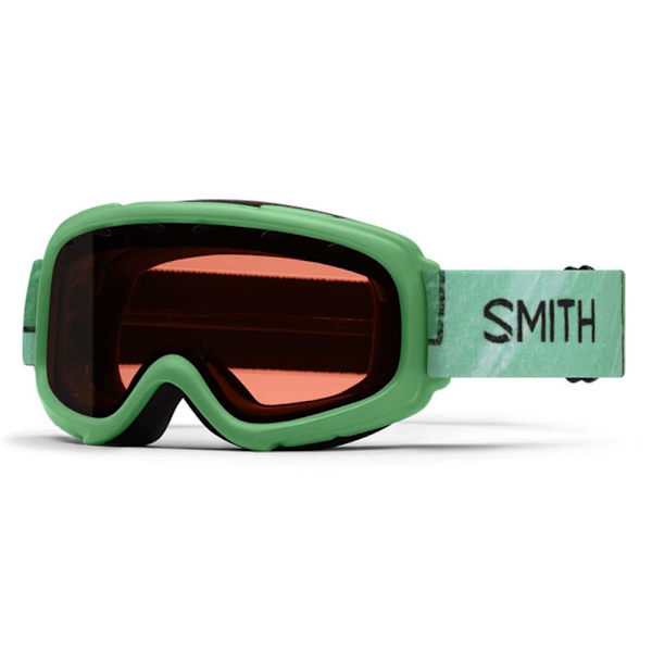 Smith Gambler Skidglasögon Grönt RC36/CAT2