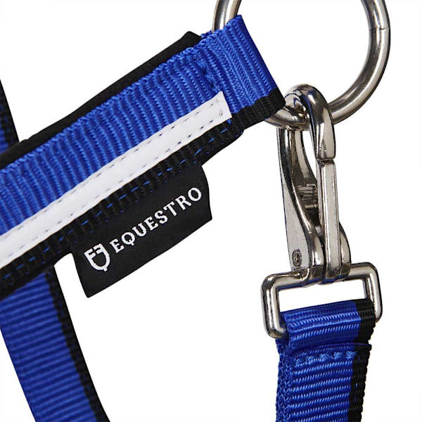 Equestro White Trim Riimu Ja Talutin  Pony
