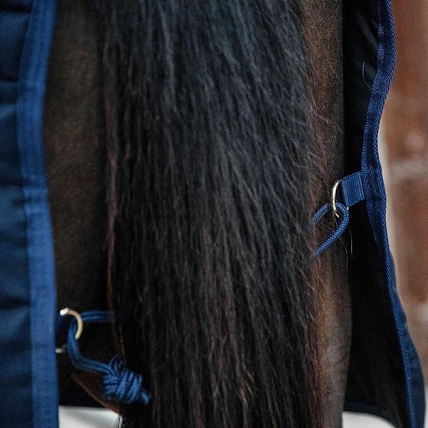 Kentucky Stabil Matta Classic 300g  125 cm