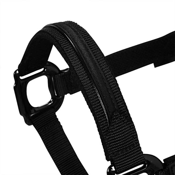 Equestro Elegance Riimu Ja Talutin  Coby