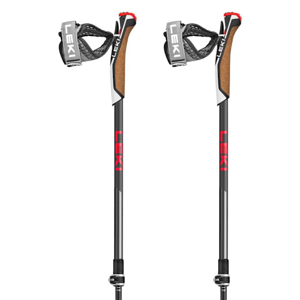 Leki Polacker Instructor Lite Silver 100-125 cm