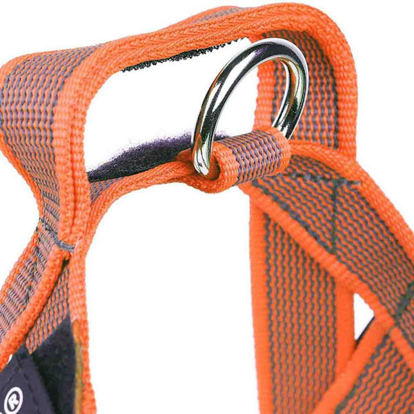 Julius K-9 Norsk Sele Idc Orange L-1