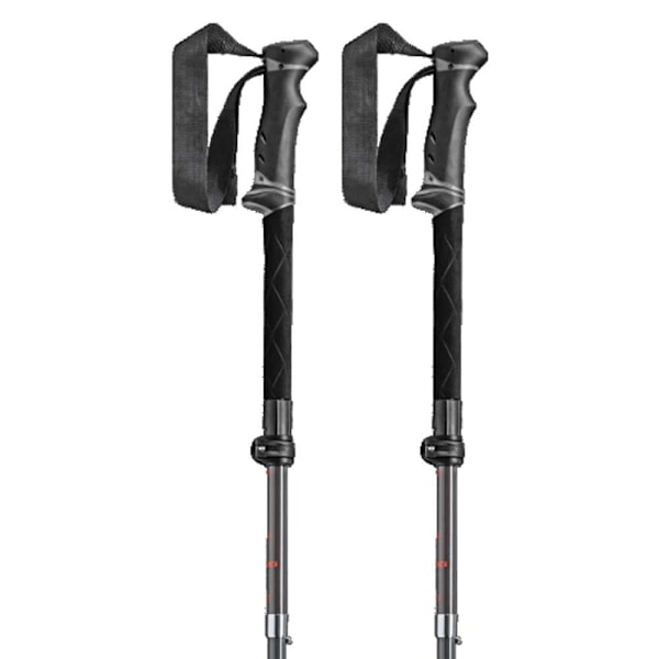 Leki Polacker Legacy Fx Ta Silver 110-130 cm