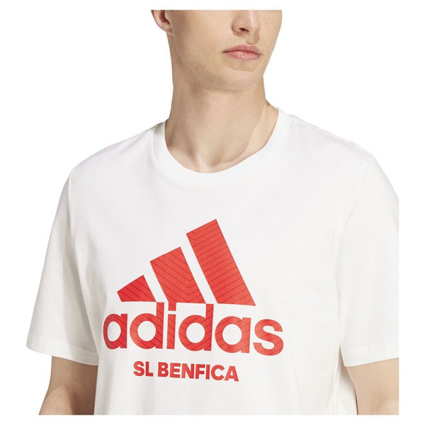 Adidas Benfica 24/25 Szn Graphic Lyhythihainen T-paita  L
