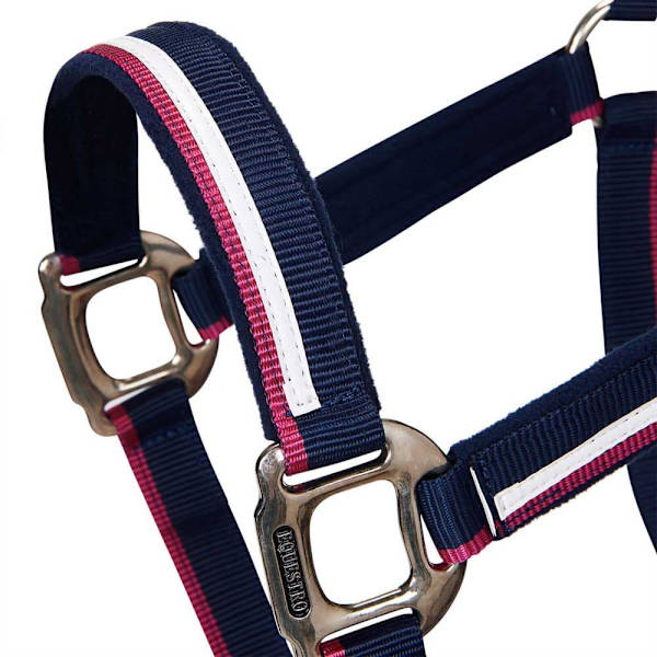 Equestro White Trim Riimu Ja Talutin  Pony
