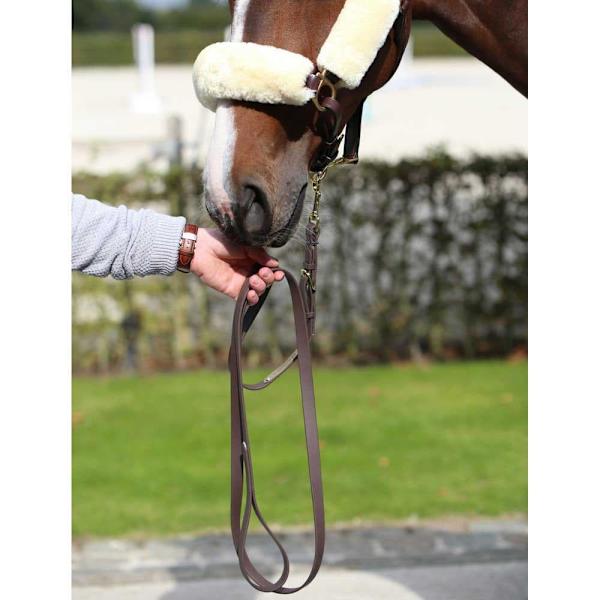 Kentucky Præsentationsleder  200 cm