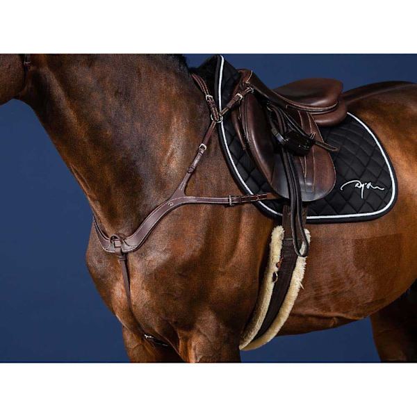 Dyon Anatomisk Bröstskydd Us Collection Brun Cob