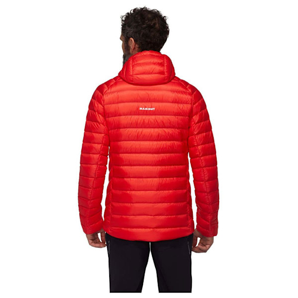 Mammut Broad Peak In Takki Oranssi L Mies