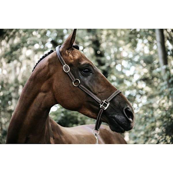 Kentucky Läder Grimma Flexible  Full