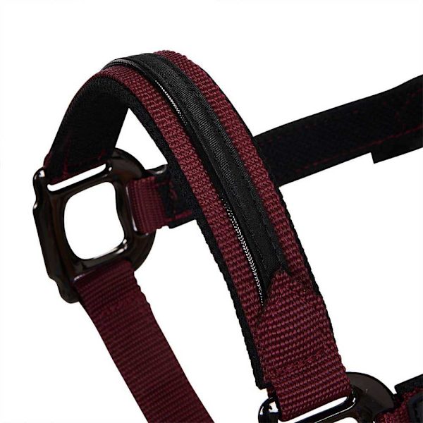 Equestro Elegance Riimu Ja Talutin  Coby