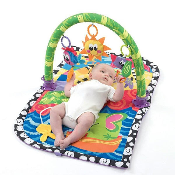 Playgro Aktivitetsgymnasium Playa Flerfärgad