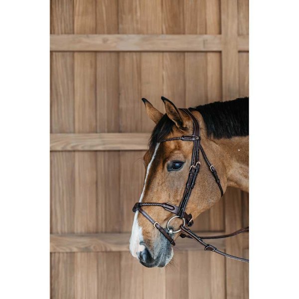 Dyon Flätat Nosgrimma Träns Med Avtagbart Flash  Pony