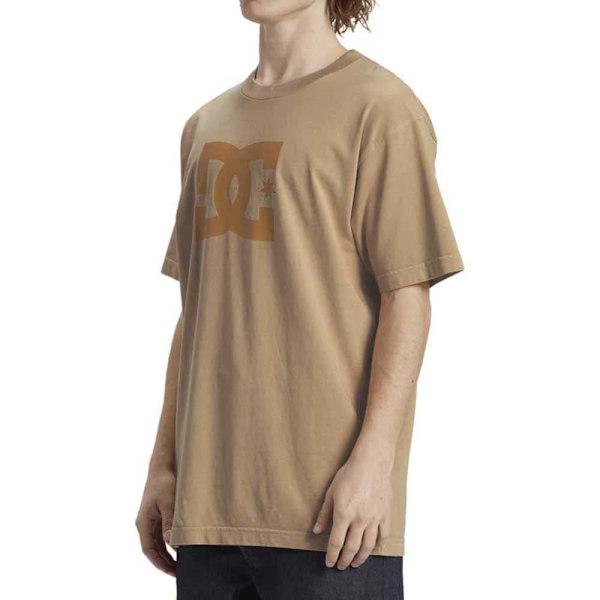 Dc Shoes Kortärmad T-shirt Dcstar Pigment Beige M Man