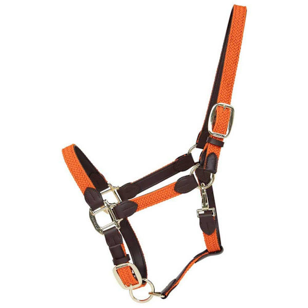 Kentucky Punottu Riimu Nylon  Cob