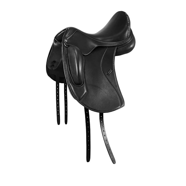 Acavallo Leonardo Dressursadel  17´´