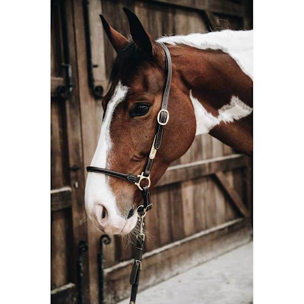 Kentucky Nahka Riimu Grooming  Cob