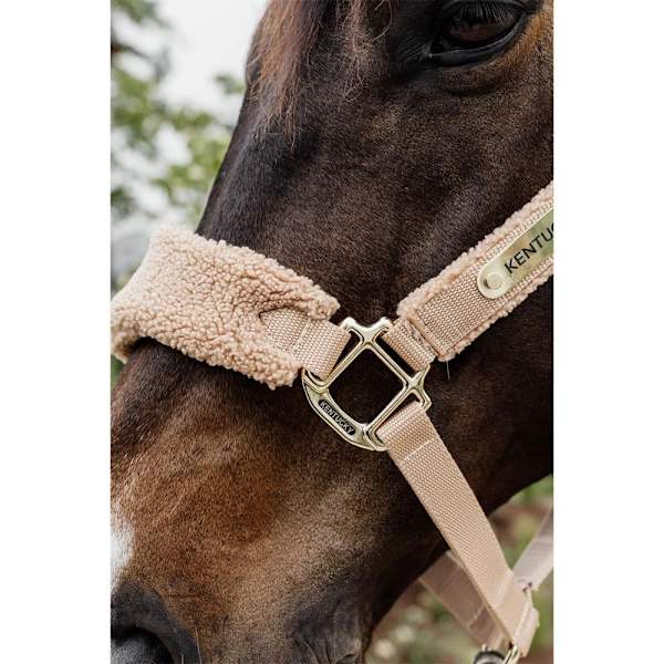 Kentucky Pehmoinen Riimu  Pony
