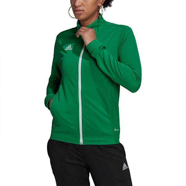 Adidas Entrada 22 Jacka Grönt M / Regular Kvinna
