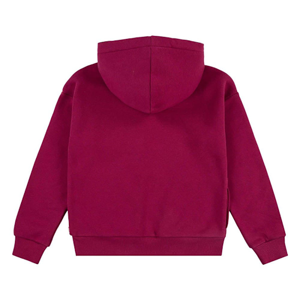 Levi´s ® Kids Batwing Chest Hit Huppari Punainen 5 Years