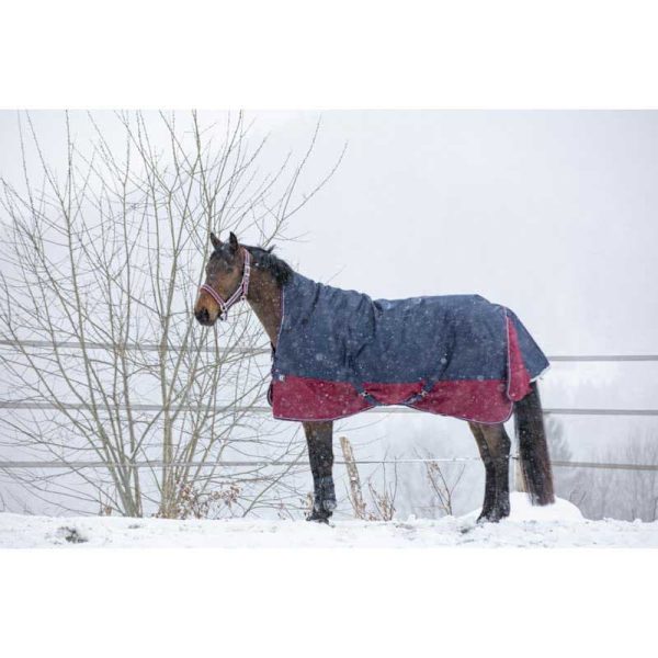Equitheme Hög Hals Valdeltagande Matta Tyrex 1200 D Polyfil 50g Blå 215-165 cm