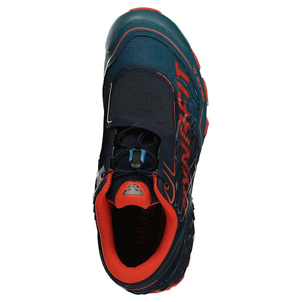 Dynafit Trail Løbesko Feline Sl Blå EU 48 1/2 Mand