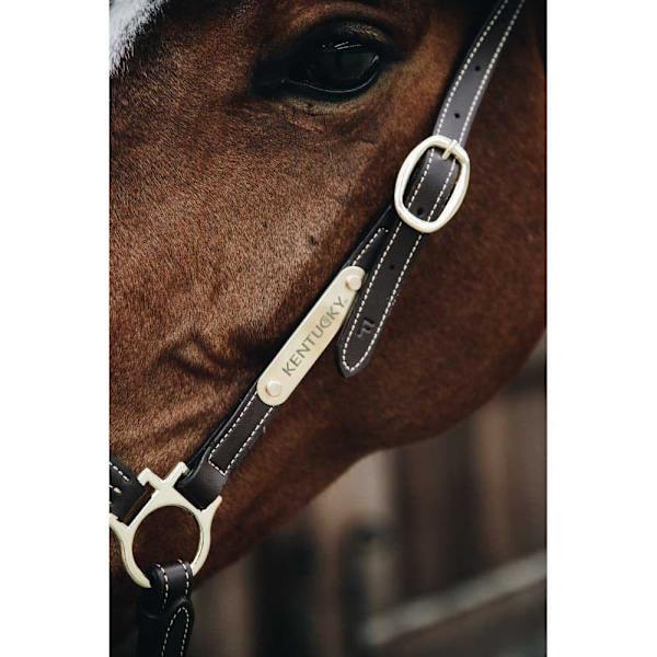 Kentucky Läder Grimma Grooming  Full