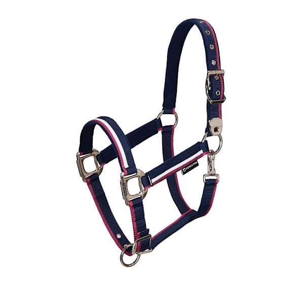 Equestro White Trim Riimu Ja Talutin  Pony