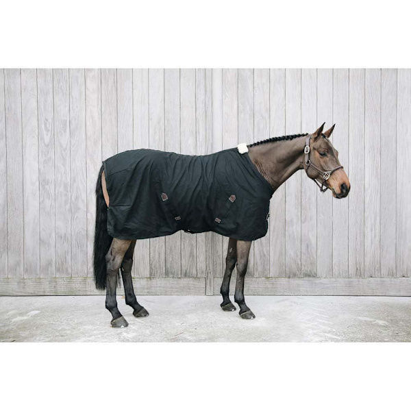 Kentucky Bomullslakan  145 cm