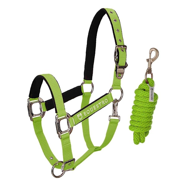 Equestro Riimu Ja Lyijy Shiny Fittings  Pony