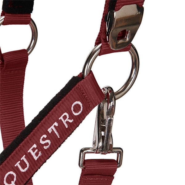 Equestro Riimu Ja Lyijy Shiny Fittings  Pony
