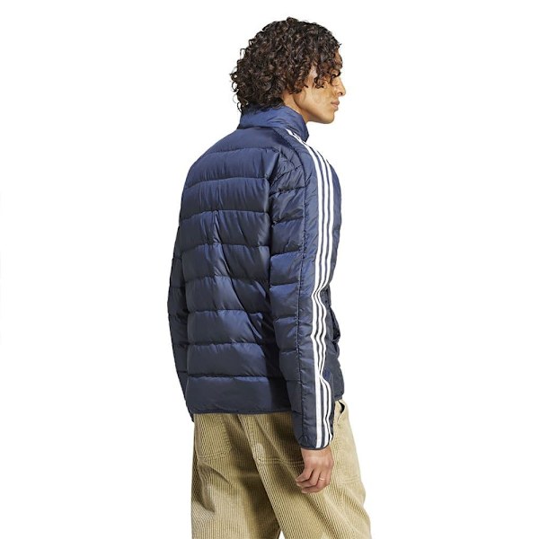 Adidas Predator Jakke Blå S / Regular Mand