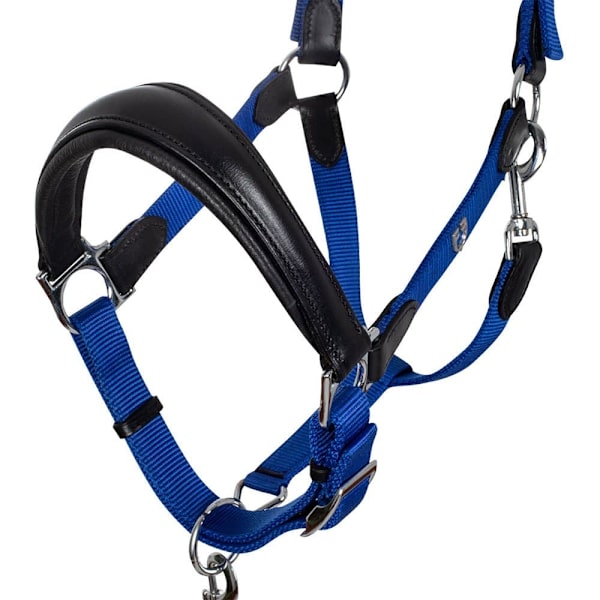 Equestro Riimu Lani  Pony
