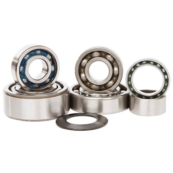 Hotrods Styrlagersats Honda 450 Trx-er 06-14/r 06-09 Silver