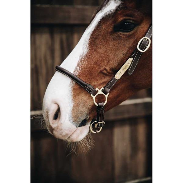 Kentucky Läder Grimma Grooming  Full